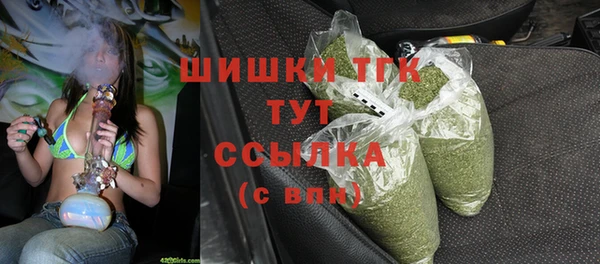 гидропоника Алзамай
