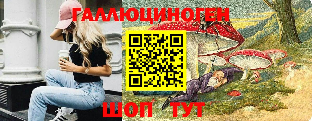 Псилоцибиновые грибы Psilocybe  Вход с VPN  Кемерово  Псилоцибиновые грибы мицелий 