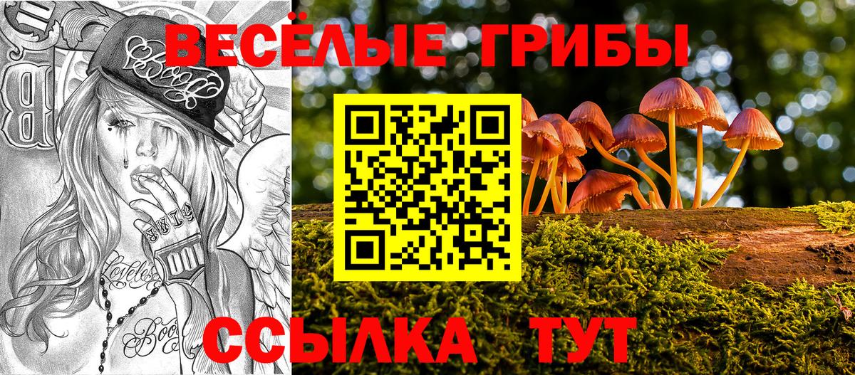 Псилоцибиновые грибы Psilocybine cubensis Кемерово